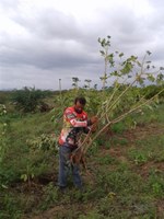 Proest realiza visitas técnicas aos produtores da agricultura familiar