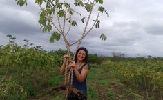 Durante a visita técnica, foi possível avaliar a produção