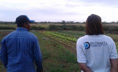 Durante a visita técnica, foi possível avaliar a produção