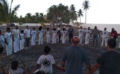 Roda de Capoeira Angola-Palmares