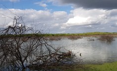 Lagoa em Pão-de-Açúcar