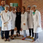 Pesquisa na Ufal constata ação antioxidante e anti-inflamatória da Cúrcuma em doença intestinal