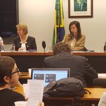 Reitora da Ufal representa a Andifes em reunião da bancada feminina