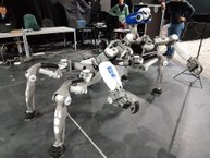 Robô Mantis em laboratório