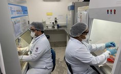 Pesquisa alagoana recebeu premiação em evento internacional na Bélgica