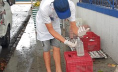 Equipes da Nutrição realizam entrega de doações
