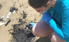 Pesquisadora da Ufal recolhendo amostras no litoral alagoano (Foto Manoel Oliveira Jr.)