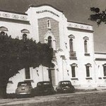 MHN completa 30 anos de Pesquisa e Extensão em Alagoas