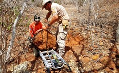 Professor Jorge Luiz Lopes, pesquisador e diretor do MHN