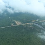 Lacos 21 alerta sobre desmatamento de áreas da Amazônia