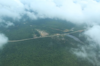 Para acompanhar o ritmo do desmatamento na Amazônia brasileira, os botânicos precisariam duplicar ou aumentar seis vezes a amostragem de árvores (Imagens Lacos 21)