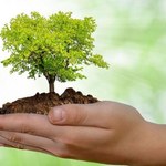 Núcleo de Educação Ambiental divulga nota no Dia do Meio Ambiente