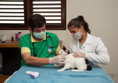 Professor Pierre durante atendimento aos felinos Professor Pierre durante atendimento aos felinos