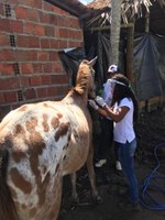 Projeto auxilia comunidades rurais no enfrentamento ao coronavírus