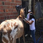 Projeto auxilia comunidades rurais no enfrentamento ao coronavírus