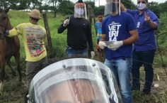 Ações do Grupequi auxiliam comunidades na pandemia