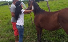 Ações do Grupequi auxiliam comunidades na pandemia