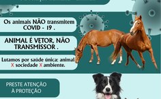 Ações do Grupequi auxiliam comunidades na pandemia