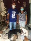 Ações do Grupequi auxiliam comunidades na pandemia