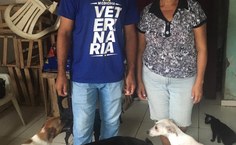 Ações do Grupequi auxiliam comunidades na pandemia