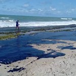 Relatório mostra situação de Maragogi onze meses após derramamento de óleo