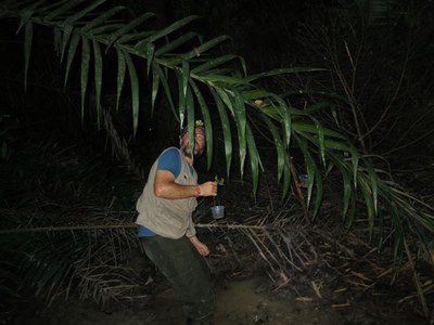 Trabalho de campo no Parque Municipal de Maceió