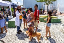 Vacinação de cães
