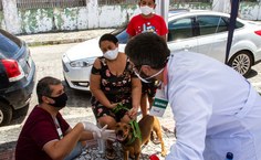 Vacinação de cães