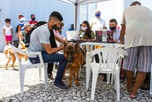 Vacinação de cães