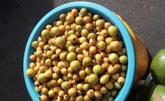 Fruta araça, já comercializada pelos agricultores de Piaçabuçu, também é foco do projeto sobre Pancs