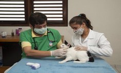 Ações Medicina Veterinária Ufal