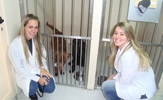 Ações Medicina Veterinária Ufal