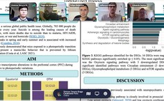 Apresentação da pesquisa