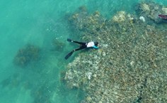 Região da Costa do Corais