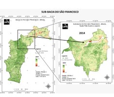 São Francisco perdeu mais de 30 mil hectares de superfície com água