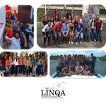 Equipe de laboratório do IQB usa redes sociais para divulgar pesquisas
