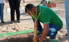 Plantação de mudas nativas no Bosque da Ciência