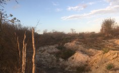 Desmatamento da Caatinga para extração de lenha e argila