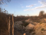 Desmatamento da Caatinga para extração de lenha e argila