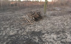 Erosão do solo no Cariri paraibano