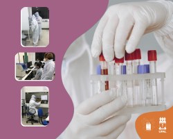 Ufal Arapiraca realiza mutirão para diagnóstico de coronavírus por RT-PCR