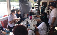 Ações desenvolvidas em 2020