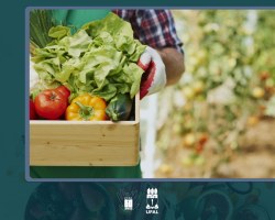 Fanut apresenta proposta para instituir Centro de Alimentação na Ufal