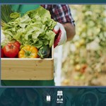 Fanut apresenta proposta para instituir Centro de Alimentação na Ufal