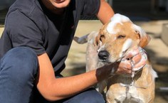 Bolsista do Grupequi Ibenny Souza