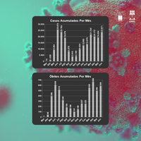 Grupo Covid Ufal : Junho fechou com alta de casos em Alagoas