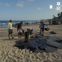 Pesquisadores produzem vídeo sobre derramamento de óleo na costa alagoana