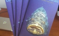 Guia de Peixes Recifais