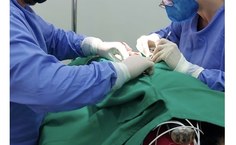 Atividade no Centro Cirúrgico do HVU supervisionada pela professora Graziela Kopinits