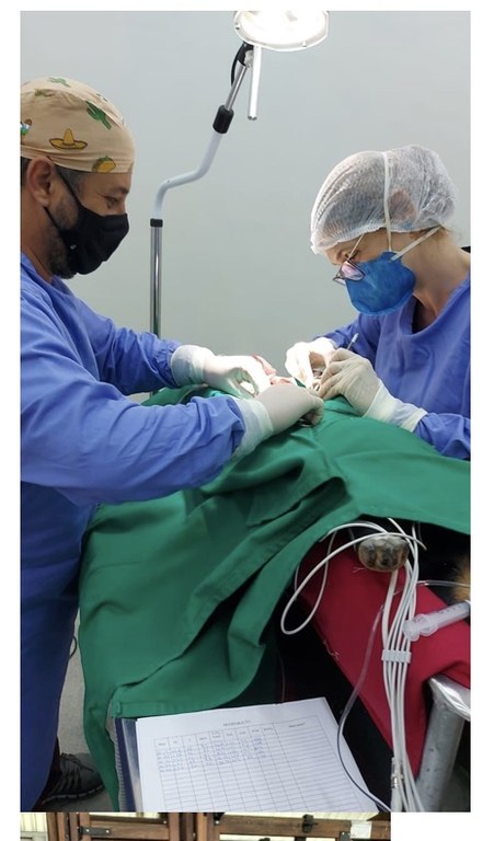 Atividade no Centro Cirúrgico do HVU supervisionada pela professora Graziela Kopinits